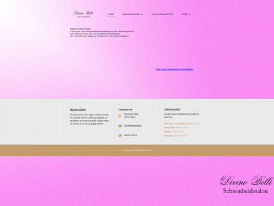 divinobelli.be snapshot