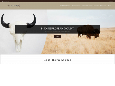 casthorndesigns.com snapshot
