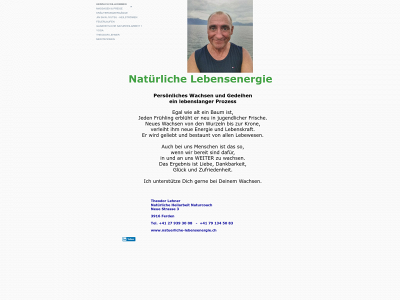natuerliche-lebensenergie.ch snapshot