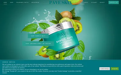 paveskin.co.uk snapshot