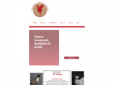 vsrk.se snapshot