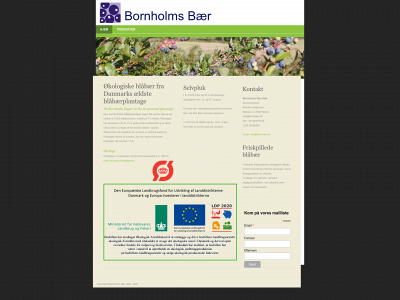 bornbaer.dk snapshot
