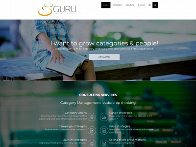 guruconsulting.se snapshot