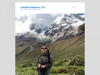 lifestyleendeavorsllc.com snapshot