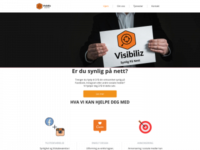visibiliz.no snapshot
