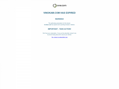 vinokam.com snapshot