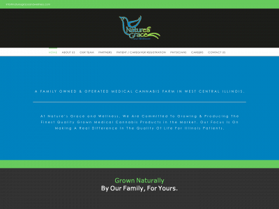 naturesgraceandwellness.com snapshot