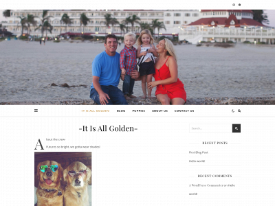 itisallgolden.com snapshot