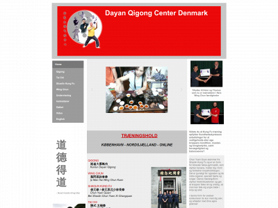 dayanqigong.dk snapshot