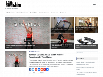 levrevolution.com snapshot