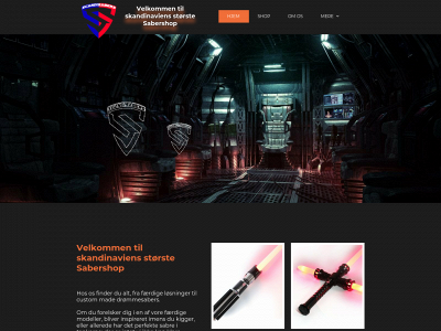scandisabers.com snapshot