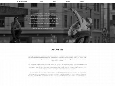 professionoel.com snapshot