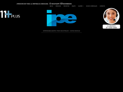 ipe-mty.com snapshot
