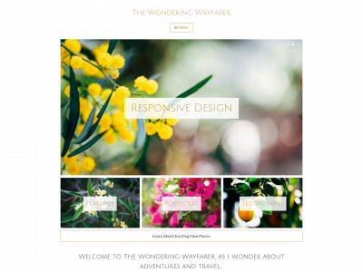 thewonderingwayfarer.com snapshot