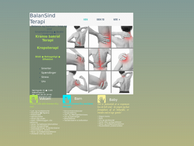 balansind.com snapshot