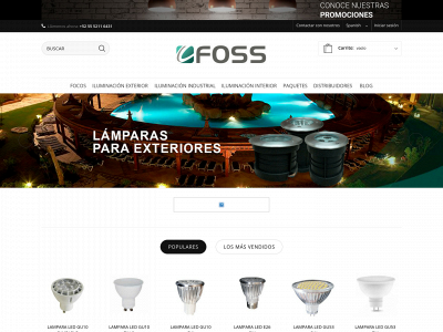 focosfoss.com snapshot