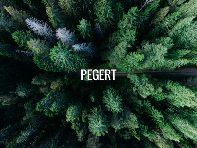 pegert.se snapshot