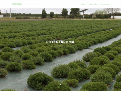 potentaroma.com snapshot