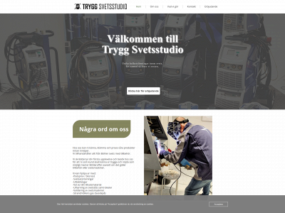 tryggsvetsstudio.com snapshot
