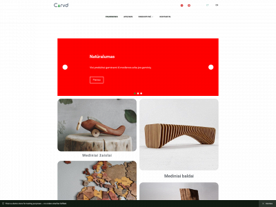 carvd.lt snapshot