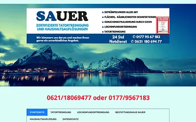 tatortreinigung-sauer.de snapshot