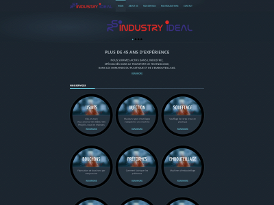rsindustry.co snapshot