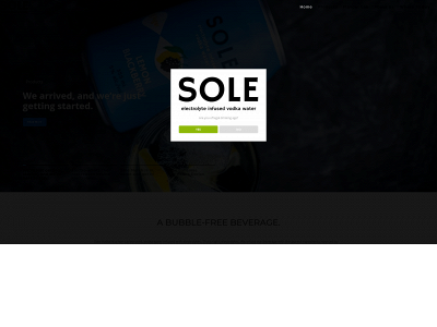 solevodka.com snapshot