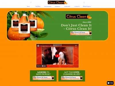 citruscleanit.com snapshot