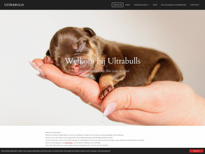 ultrabulls.nl snapshot