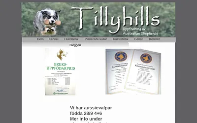 tillyhills.se snapshot