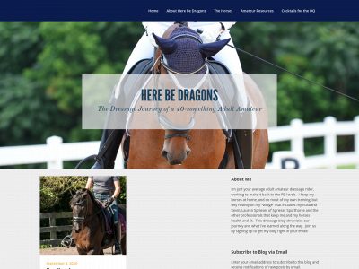 40yearoldindressage.com snapshot