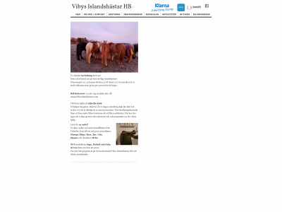 vibysislandshastar.com snapshot