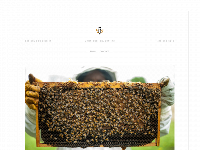honeyandqueens.com snapshot