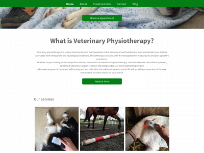 houndstohorsesphysio.co.uk snapshot