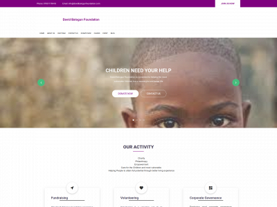 davidbalogunfoundation.com snapshot