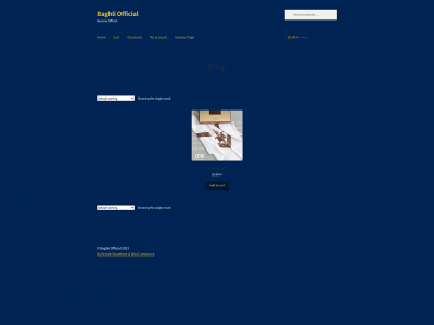 baghliofficial.com snapshot
