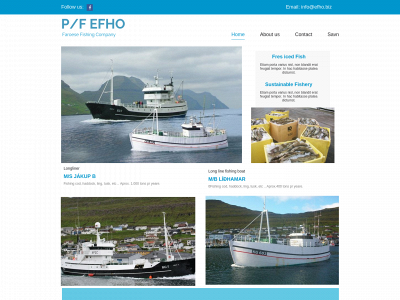 efho.biz snapshot