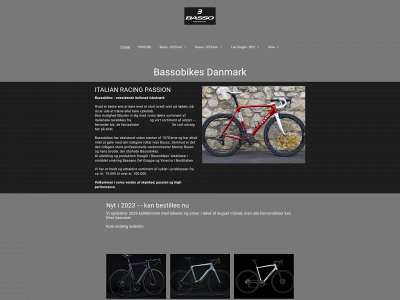 bassodk.dk snapshot