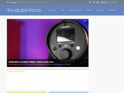 thevaluablefriends.com snapshot