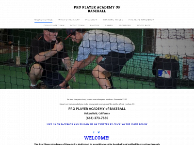 www.proplayeracademy.com snapshot