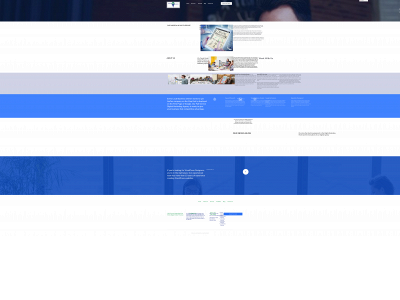 localseowebsites.com snapshot