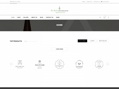 elsaliinternational.com snapshot