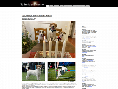 stjarnliden.se snapshot