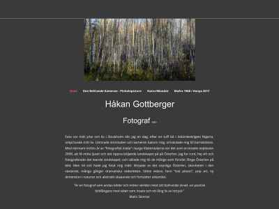 gottberger.se snapshot