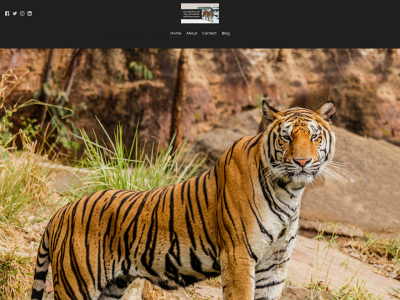 thelifeofthewildtiger.blog snapshot