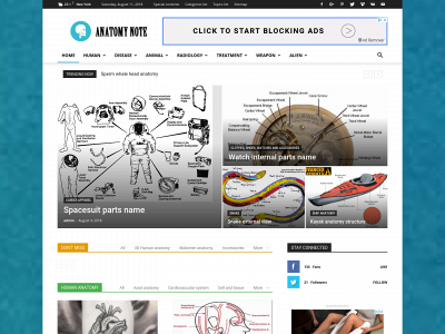 anatomynote.com snapshot