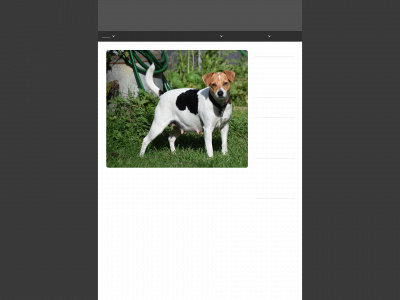 gaardbanditten.dk snapshot