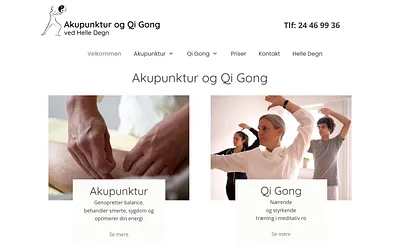 aku-qigong.dk snapshot