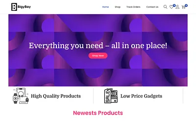 bigybay.com snapshot