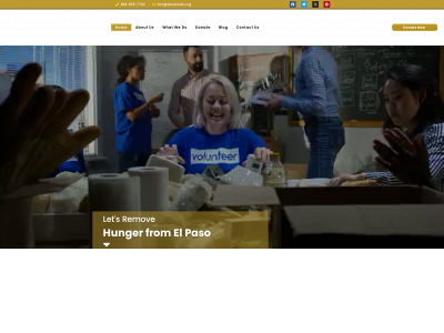 elisaswish.org snapshot